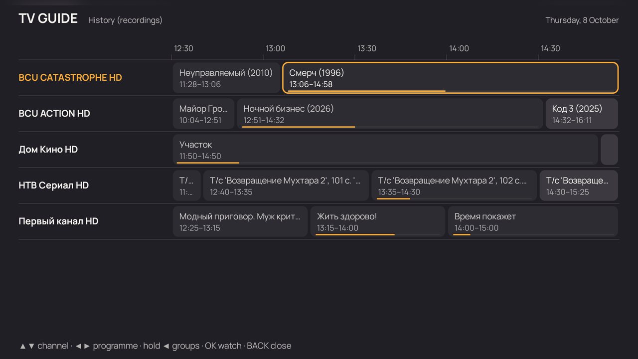 TV guide on the "History (recordings)" group: a watched bar on the show
