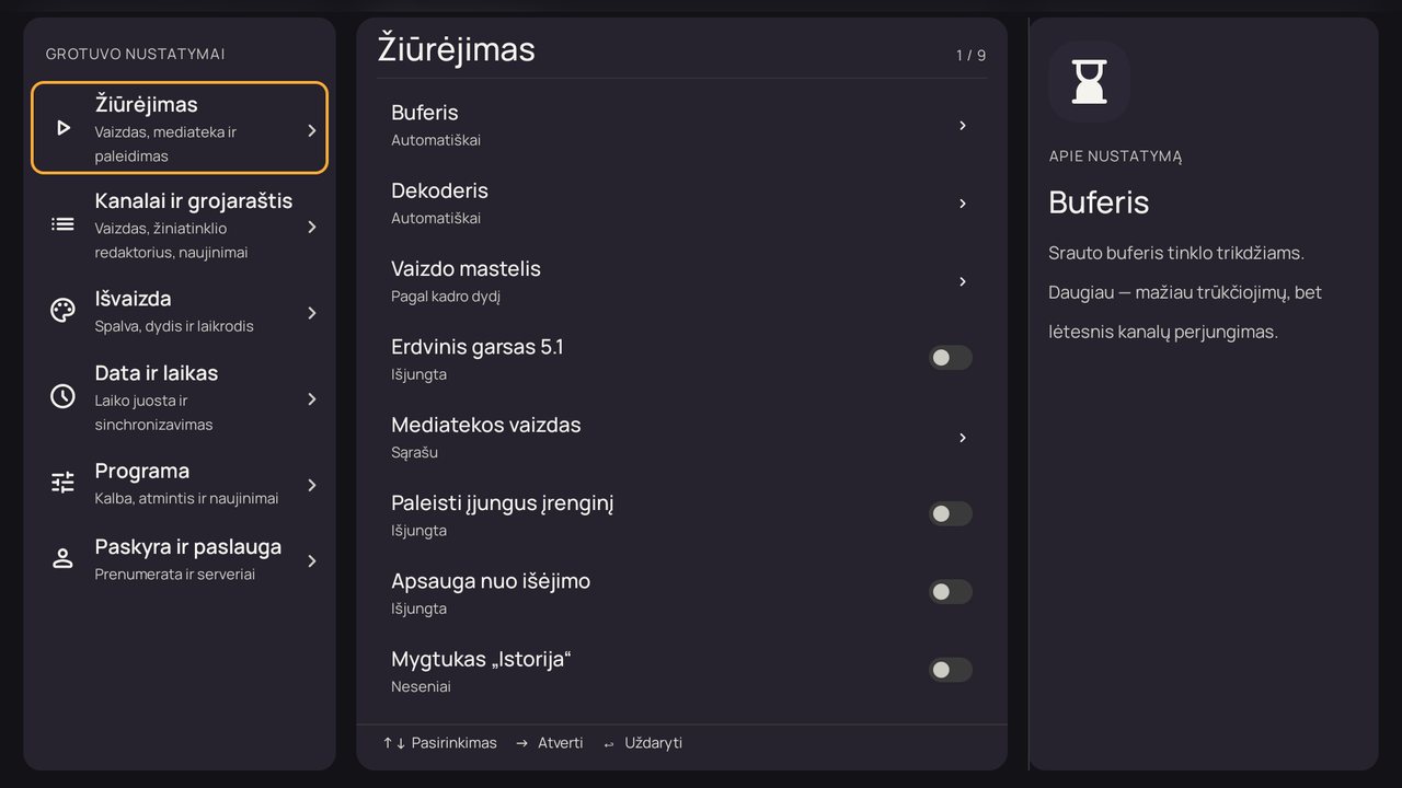 Nustatymai: „Žiūrėjimas“